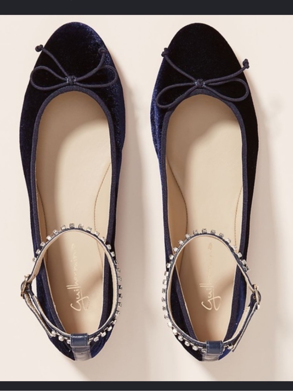 Guilhermina Embellished Velvet Ballet Flats